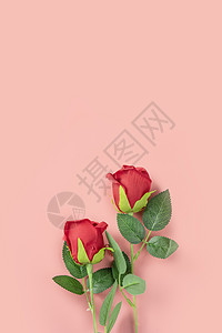 桌上摆拍的玫瑰花背景素材图片