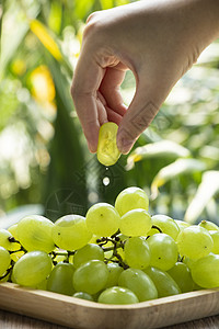 饱满新鲜当季水果青提背景图片