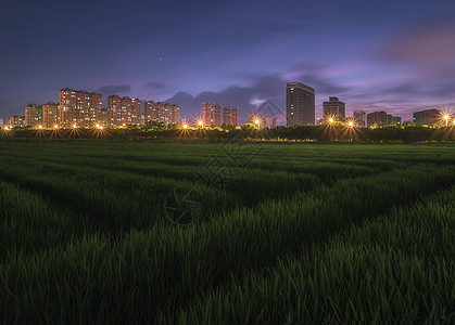 沿海地区城市风光图片