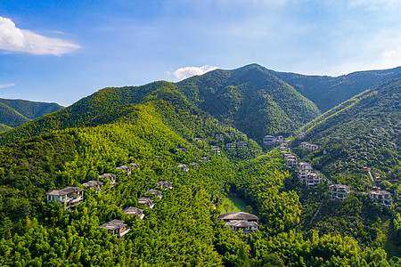 南山风景区5A风景区天目湖南山竹海背景