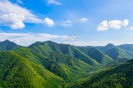 山水5A风景区天目湖南山竹海背景