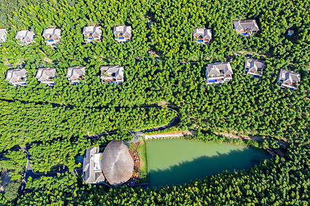 5A风景区天目湖南山竹海图片