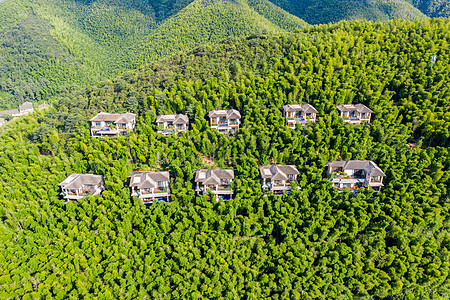 5A风景区天目湖南山竹海背景图片