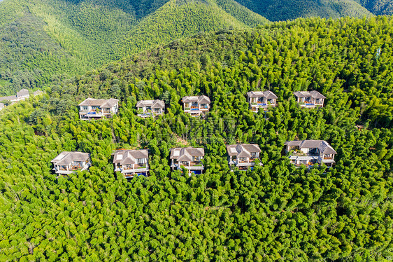 5A风景区天目湖南山竹海图片