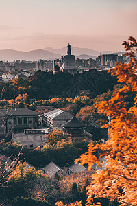 北京秋天秋景地标故宫背景图片