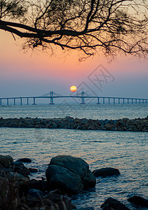 广州珠江新城珠江沿岸夜景航拍图片