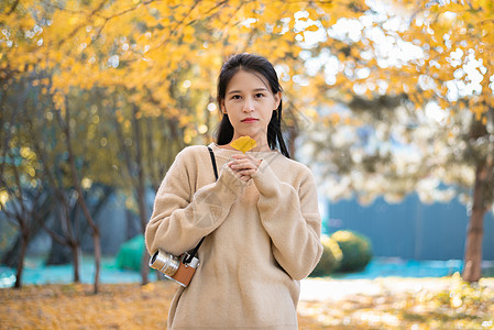 秋天的银杏与少女图片