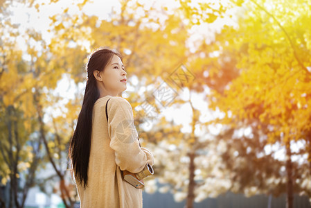 秋天的银杏与少女背景图片