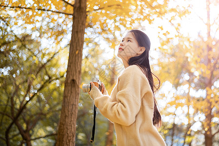 秋天的银杏与少女图片