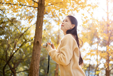 秋天的银杏与少女背景图片