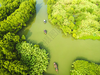 5A风景区常熟沙家浜风景区图片