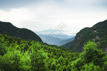 5A风景区明月山风景区图片