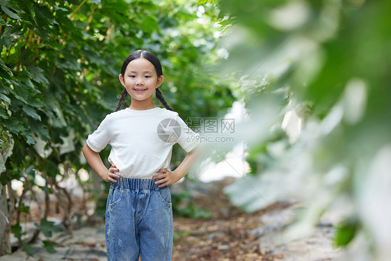 可爱的小女孩形象图片