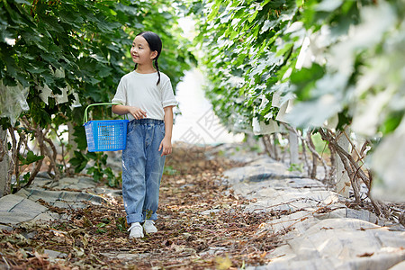 提着篮子走在果园的小女孩高清图片