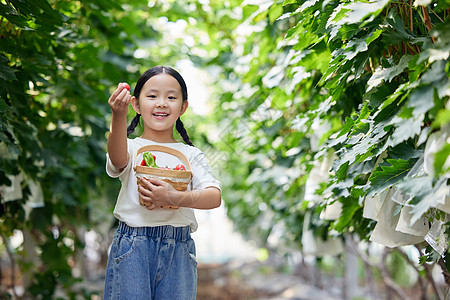 在果园拿着水果篮的小女孩图片