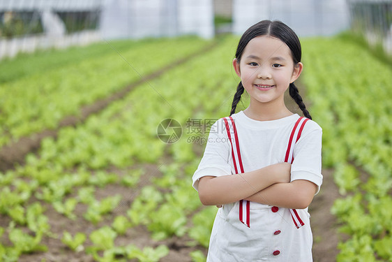 在蔬菜大棚的小女孩形象图片