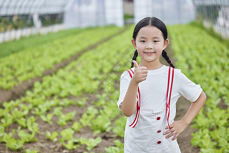 在蔬菜大棚的小女孩点赞手势图片