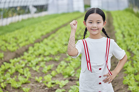 在蔬菜大棚的小女孩形象图片