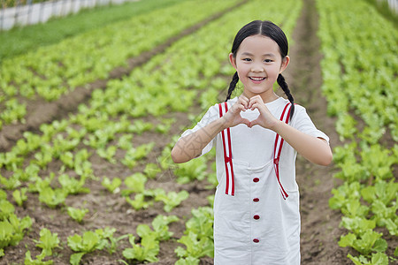 在蔬菜大棚的小女孩形象图片