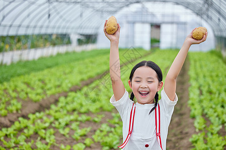 小女孩手拿蔬菜在蔬菜大棚手拿土豆的小女孩背景