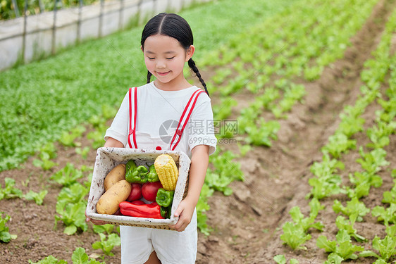 在蔬菜大棚里抱着蔬菜的小女孩图片