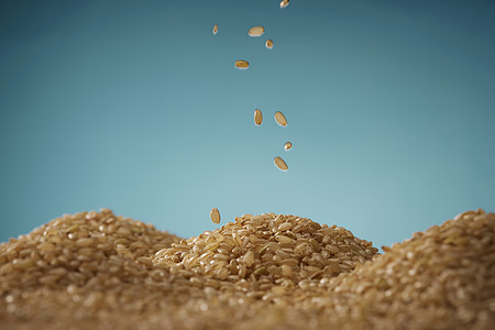 粳米籼米粗粮谷物静物特写背景图片