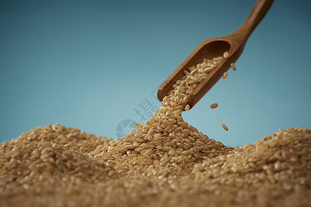 粳米籼米粗粮谷物静物特写图片