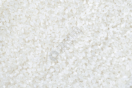 植物白底食材静物大米稻米背景