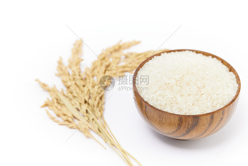 白底大米水稻静物图片