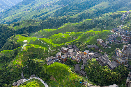 航拍夏季龙脊梯田图片