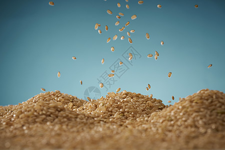 食物稻米籼米杂粮五谷静物图片