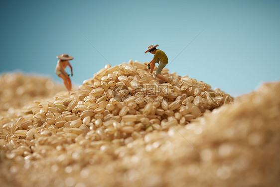 食物稻米籼米杂粮五谷静物图片