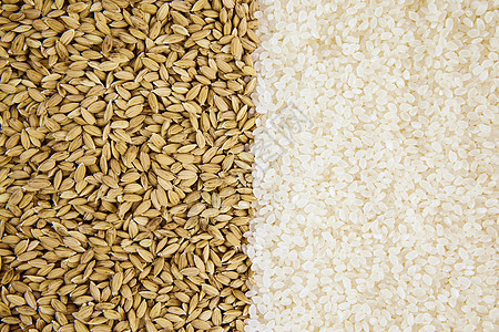 食物静物大米稻米图片