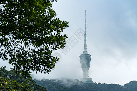 梧桐山上深圳电视塔高清图片