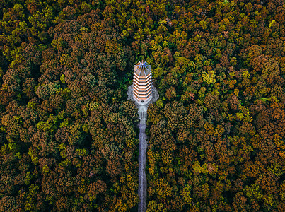 秋天的钟山风景区灵谷寺灵谷塔图片