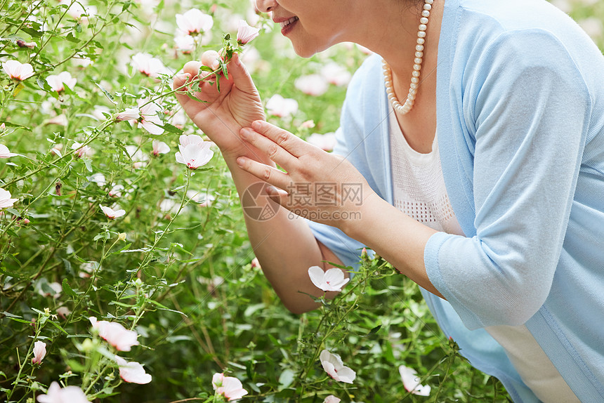 奶奶公园赏花闻花香特写图片