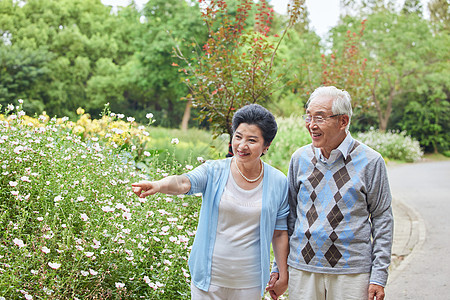 公园一起赏花的老年夫妻图片