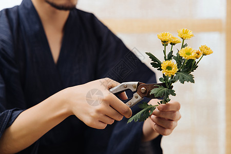 插花修剪花枝细节特写图片