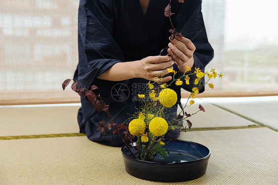 日式花艺师调整花枝特写图片