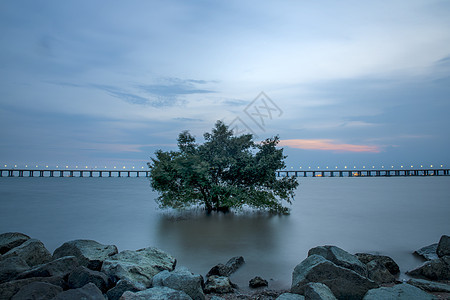 深圳宝安西湾红树林公园图片