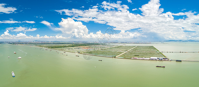 南沙湿地广州南沙区背景