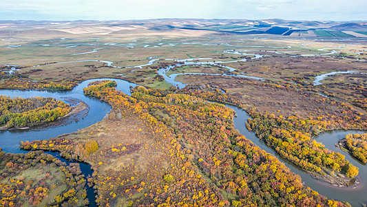 内蒙古额尔古纳湿地图片