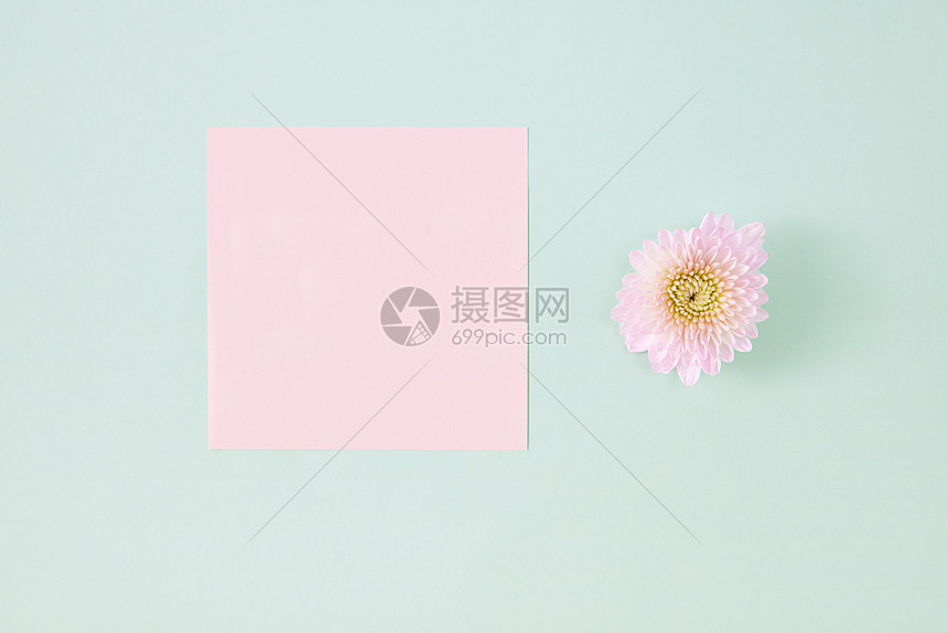 粉色小雏菊贺卡图片