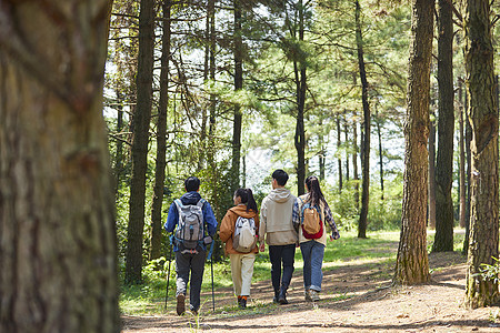 年轻朋友结伴户外徒步旅行背影图片素材