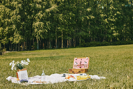 公园草坪野餐垫背景图片