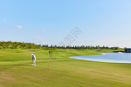 森林草地远景打高尔夫球的人背景