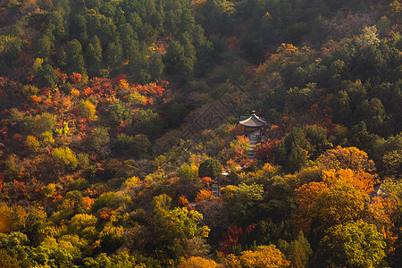 北京香山公园秋天图片