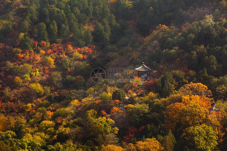 北京香山公园秋天图片