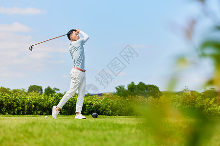 高尔夫果岭挥杆打高尔夫球的男性形象背景