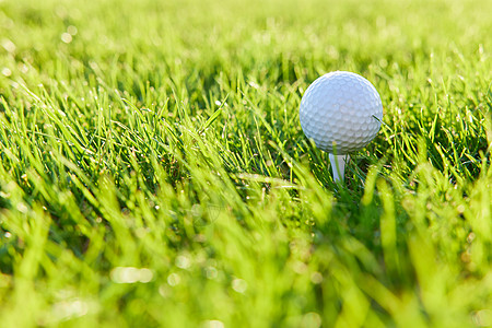 草坪上的高尔夫球图片